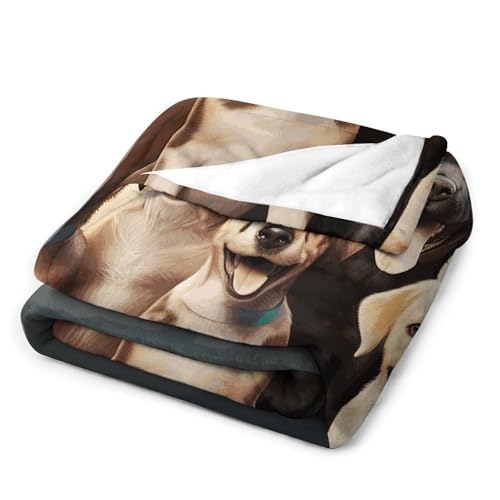 Couverture en flanelle légère pour éliminer le froid sur le canapé - 4