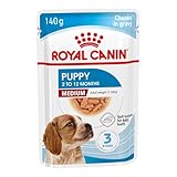 Royal Canin Medium Puppy | 10 x 140 g | Nasses Welpenfutter für mittelgroße Hunde
