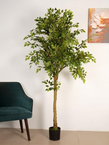 Image of ARICK DECOR 6.5Ft Large Artificial Ficus Tree - 6.5ft Tall Faux Lush Fig Tree with Natural Wood Trunk in Pot - Realistic Greenery for Living Room, Office, Hotel & Indoor Decor (99.7W x 200H cm)