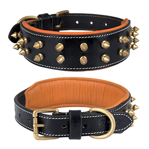 DowgClub, Black - Gold Spikes, M (Fit Neck Size 14.5"-18.5")
