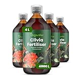 Concime liquido organico 4x1L per Clivia – foglie e fiori sani – Organifer