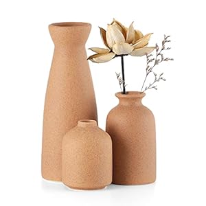 CEMABT Braun Keramik Vasen 3er-Set Kleine Blumenvasen für Dekor, Moderne rustikale Bauernhaus Home Decor, Dekorative Vasen für Pampas Grass&getrocknete Blumen, Idee Regal, Eingangsbereich- Distressed