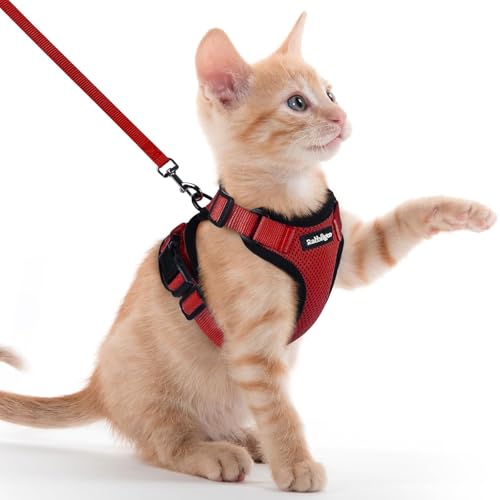 Image of rabbitgoo Cat Harness and Leash Set, Escape Proof Vest, Red | Soft Breathable Mesh, Easy Adjustable Fit, Snap Buckles, Sturdy Clip, Reflective Strips, for Kittens & Small Cats Walks, Xxs