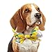 GRABAGECAN Dog Cooling Collar Bandanas for Summertime Relief for Hot Season Pet Collar Dog Down Cool Collar