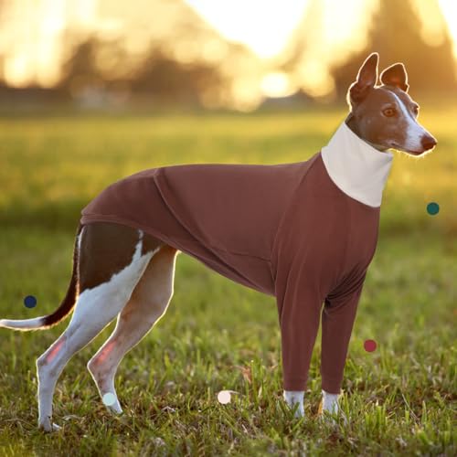 Image of IECOii Greyhound Sweater Turtleneck Dog Sweater for Greyhound Warm Greyhound Sweater Fleece for Spring Fall Winter Extra Cozy Greyhound Pajamas Two-Leg Jumpsuit Long Sleeve Sweatshirt Small