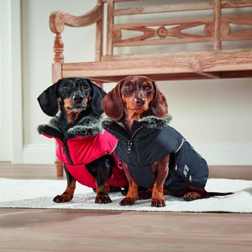 WOLTERS Winterjacke Amundsen für Dackel versch. Größen und Farben, Größe:44 cm, Farbe:schwarz