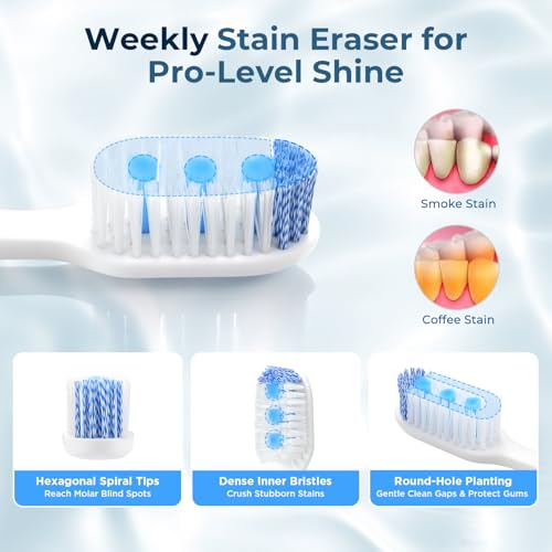 Image of Soft Toothbrushes for Morning Freshness & Night Cleanliness -10000+ Soft Bristle Toothbrush for Sensitive Gums|Medium Toothbrushes for Deep Plaque Removal, Daily Clean & Weekly Brightening