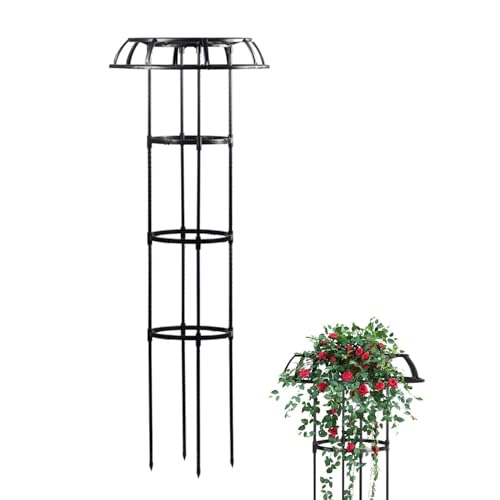 IxXN KN gX | x P^ K[fjOpx    ȒPg \ Ԃǂ ~jg}g I o K[fjO ATKI O K[fjOpi KN  eX p[S  ͔| (ubN, a25cm-