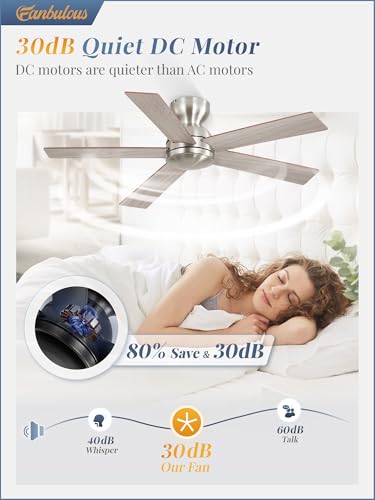Image of Fanbulous 42 Inch Brushed Nickel Ceiling Fan without Lights, Modern, Remote
