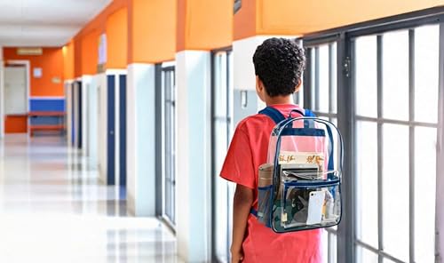 Image of Trail maker Clear Backpack Heavy Duty with Padded Straps, Side Pockets for Kids, Boys, Girls, School, Stadium Approved Events