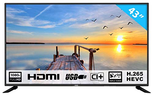 HKC 43F3 109 cm (43 Zoll) LED Fernseher (Full HD, Triple Tuner, CI+, HDMI, Mediaplayer per USB 2.0) [Energieklasse A]