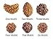 Rudradivine Real Rudraksha Beads 1-6 Mukhi, Size 10-15 mm, Brown, Round, Rudraksha Seed, 1 Piece