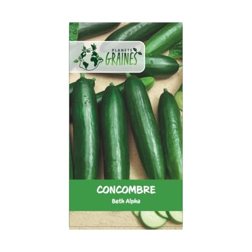 300 graines de concombre Beth Alpha - Doux et non Amer - production abondante
