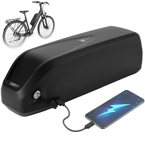 ZLSHELIBK 48V 17.5Ah Ebike Battery 50A BMS for 250-2000W Motor