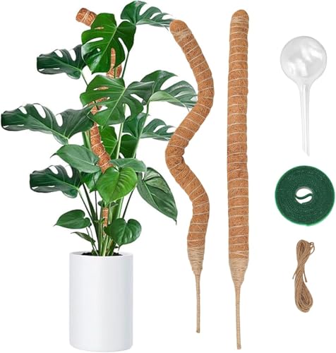 Monstera Lot de 2 bâtons de mousse pour plantes, 60 cm, tuteur Monstera avec accessoires pour plantes, support flexible, bâton de coco Monstera Moss fabriqué à la main pour plantes d'intérieur