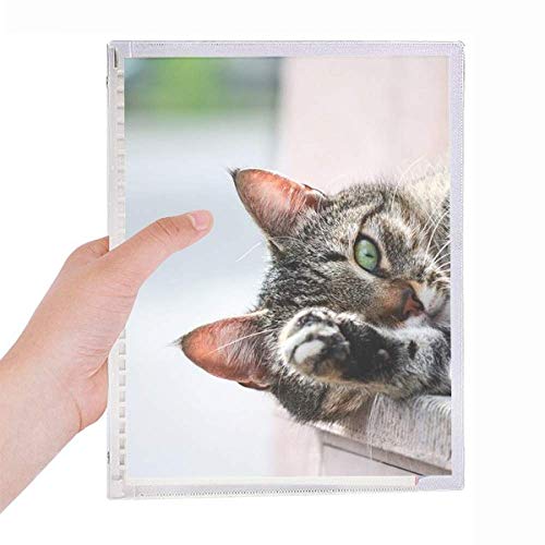 Carnet de photos chat rechargeable à spirale : ne ratez plus vos albums