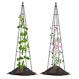 Lalahoni 2 Pack Garden Trellis for Climbing Plants Outdoor Indoor Pot | 67inch Tall Plants Support with Adjustable Stake Arms | Garden Obelisk Trellis, Lightweight, Black