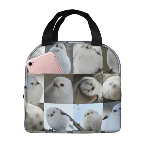 `obO V}GiK  ۗ ۉ ٓobO  RpNg O|Pbgt ~jg[gobO p肳obO fB[X Y ʋ ʊw s fB[X Y qp