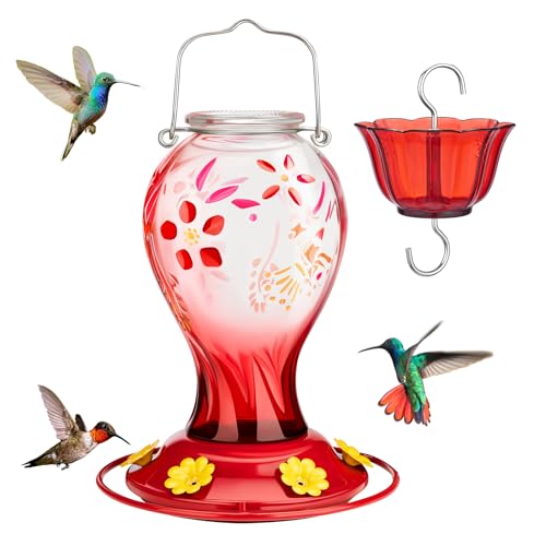 Kingsyard Glass Hummingbird Feeder for Outdoors Hanging - 26 oz L...