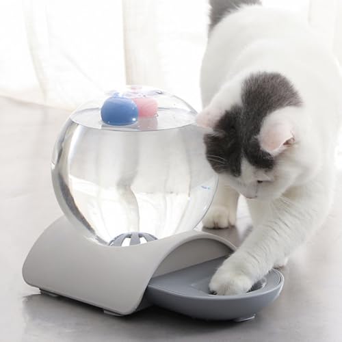Fontaine d'eau pour chat et chien 2,8L idéale en extérieur et magasin