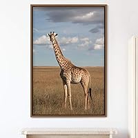 Framed Canvas Wall Art Giraffe Animals Expressive Farmhouse/Country Giraffe Living Room Multicolor Photography - 16x24 inches