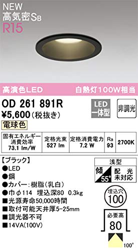 Amazon.co.jp: オーデリック ダウンライト 【OD261891R】【OD 261 891R