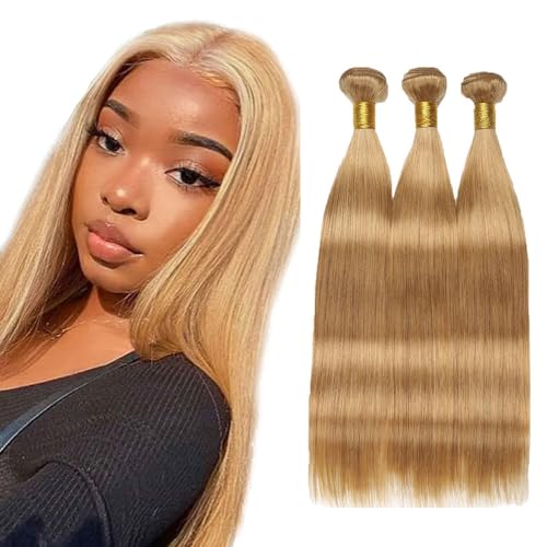 Color 27 Human Hair Bundles Honey Blonde Straight Bundles Unprocessed Brazilian Virgin Hair 3 Bundles 10 12 14 Inch Color 27 Straight Bundles Human Hair