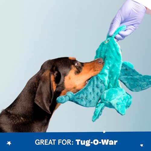 Barkbox Best of BarkBox Bundle – Squeaky Dog Toys – Plush Chew Toys – Puppy and Pet Toys for Medium and Large Dogs – Gordon The Sloth, Dingbert The Dragon, and Ollie The Octopus by Barkbox - Image 5