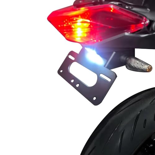 Support Plaque d'Immatriculation Queue Arrière Ninja 300 Look Racing Route