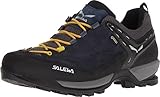 Salewa MTN Trainer GTX Herren Schuhe