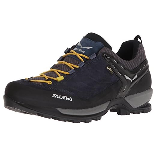 Salewa MS Mountain Trainer Gore-TEX
