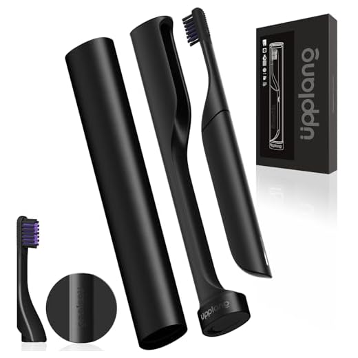 Portable Sonic Toothbrush with Travel Case