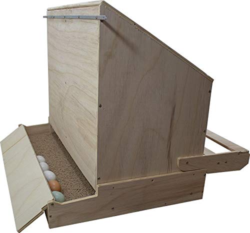 Ninho para galinha poedeira - Duplo