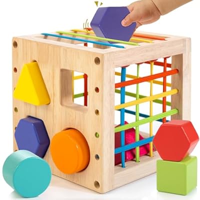 Montessori Wooden Shape Sorter Activity Cube for Dominican