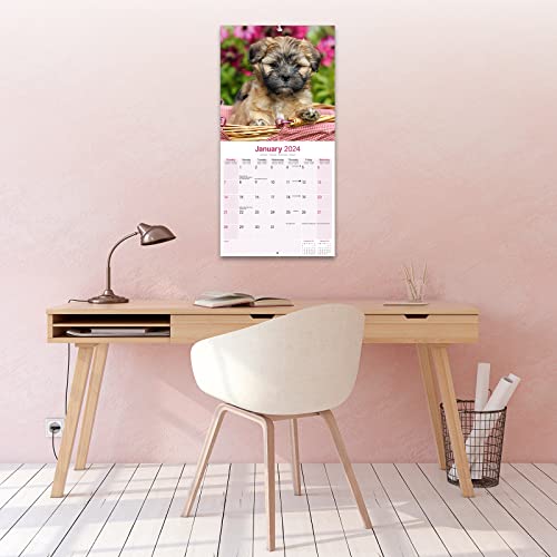 Lhasa Apso Calendar 2024 - Image 4