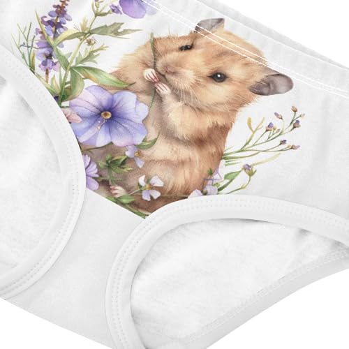 ALAZA Toddler Girls' Cotton Hipster Underwear Soft Hamster Flowers 2 Pack 2T4