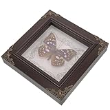 Décoration de table – encadré, offrant une protection optimale au spécimen tout en permettant une visibilité claire, spécimens de