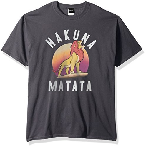 DisneyMen's Lion King Simba Pride Hakuna Matata Warrior Graphic T-Shirt