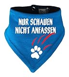Kleiner Fratz
