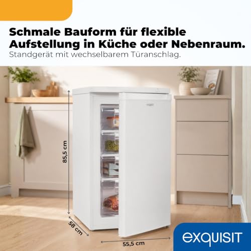 Exquisit Gefrierschrank | 91 l Nutzinhalt, Energieeffizienzklasse E, 40 dB(A) | kompakte Bauform, 4-Sterne-Gefrieren, manuelle Temperaturregelung, wechselbarer Türanschlag | GS512-040E weiss