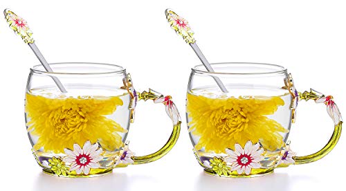 Tiang Verre Tasse à thé,main en émail Fleur Mug à café en verre transparent avec poignée Unique personnalisé de femme Grandma Mom Rouge Rose (11oz*1, rose) Cover