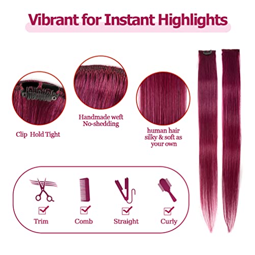 Winsky Burgundy Clip In Colored Hair Extensions 100% Real Human Hair - Straight Highlights Colored Clip On Christmas Hairpieces 5 Pieces/Set (18Inch, Burgundy) #TOP2