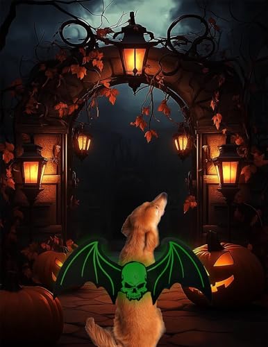 LIBRNTY Haustier Fledermausflügel,Halloween Haustier Kostüm,Katze Hund Fledermaus Kostüm,CHundekostüme,Dekoration,Schwarze Bekleidung für große Katzen Hunde(Neues Upgrade im Jahr 2025 schwarz,groß)