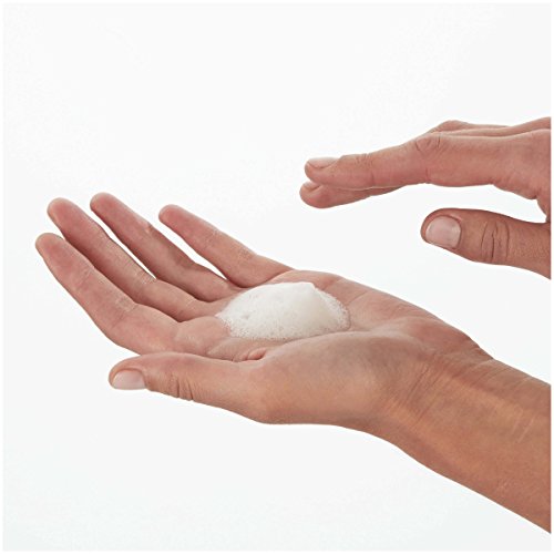 Garnier Skinactive Gentle Sulfate-Free Foaming Face Wash, 13.5 Ounce #TOP2