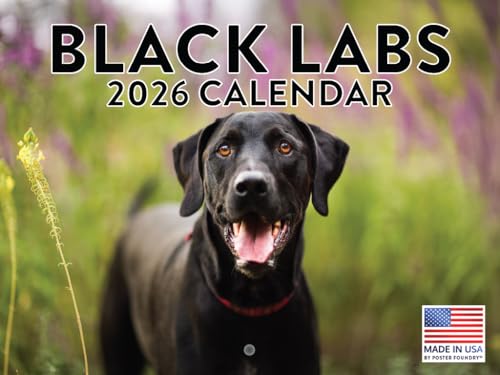 Nations Photo Lab 12-Month Calendar