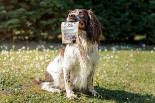 Friandises pour Chien – Rondelles à l’oie – Mono-protéine – sans céréales – sans sucres ajoutés – 85 g – Hapki Pure – Flamingo – vue 5