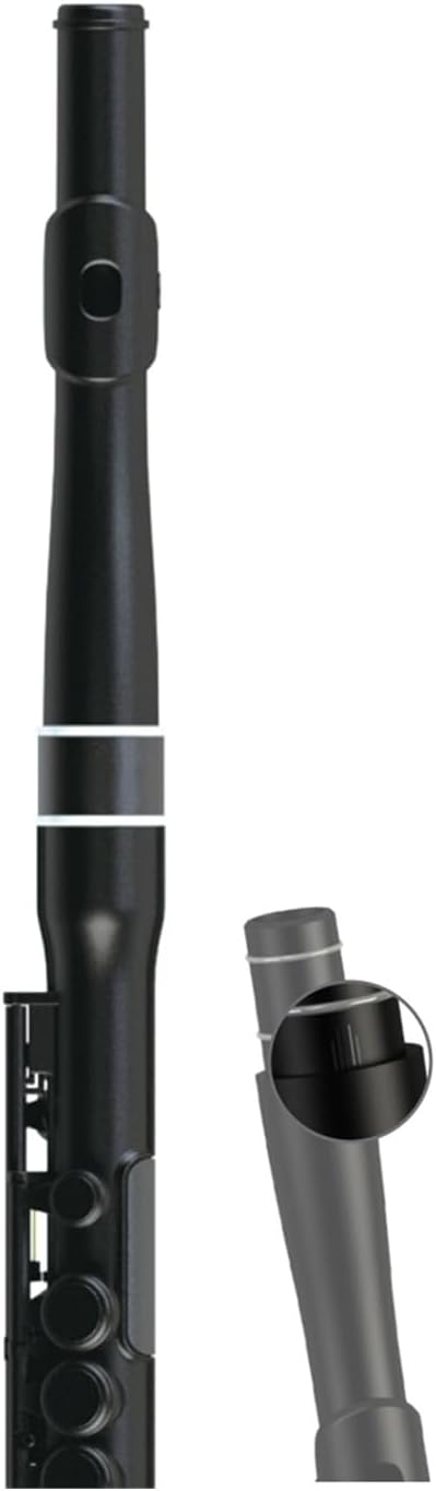 黒檀二胡 宋廣寧製 ケース付き 高級 ニ胡