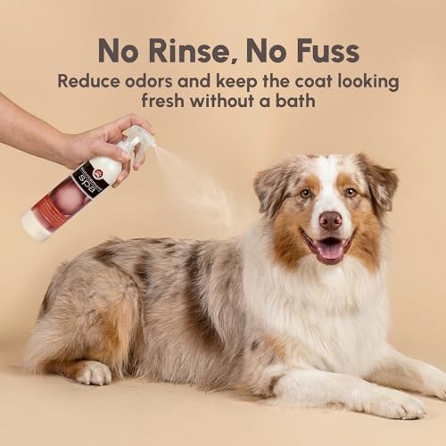 Image of Best Shot Scentament Spa Botanical Body Splash, Body Spray Conditioner for Pets, Cat and Dog Cologne Spray, Soft Mimosa Nectar, 8 Oz.