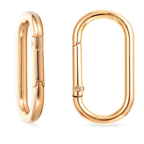 LLOUSSAK 2Pcs Spring O Ring Clip for Purse, Gold Carabiner Clip Gold Key Rings for Keychain Bag Strap Clips Alloy Round Buckle Key Hook Purse Strap Extender Clips for Bags, Purses