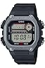 [予約必須] カシオ スタンダード DW-291H-1AJF